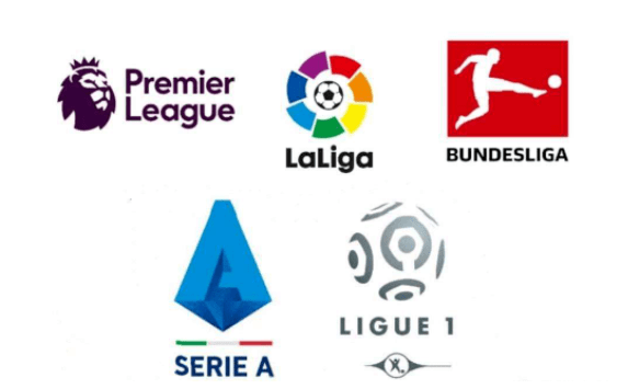 适应能力 适应能力